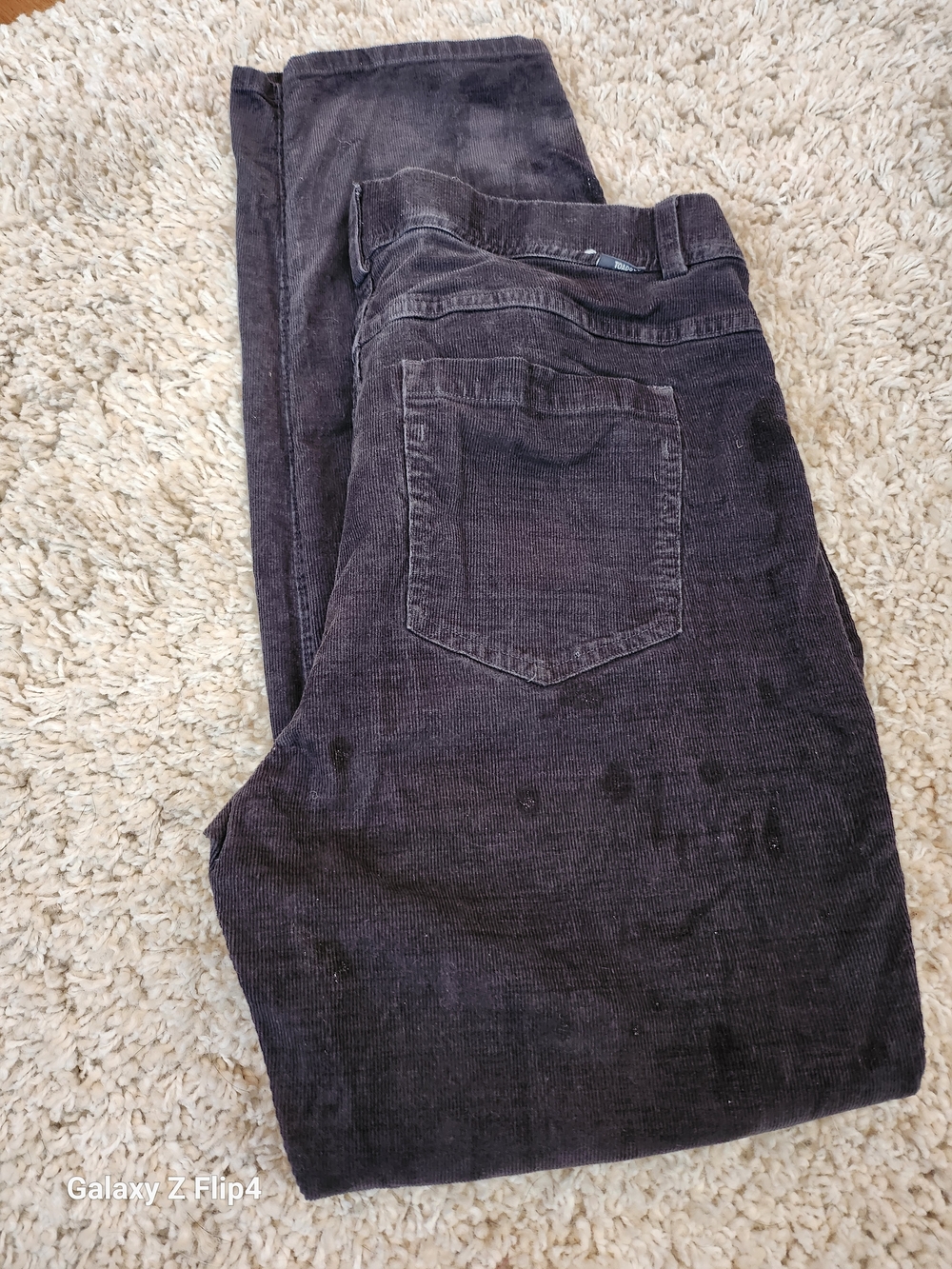 Toad&Co Women's Corduroy Pants in Dark Gray - Picture 3 of 3